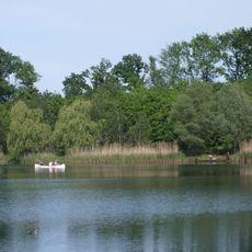 Waldsee Lauer