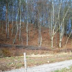 Nevėžis Landscape Reserve