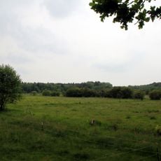 Naturschutzgebiet Fohlenweide von Dieburg