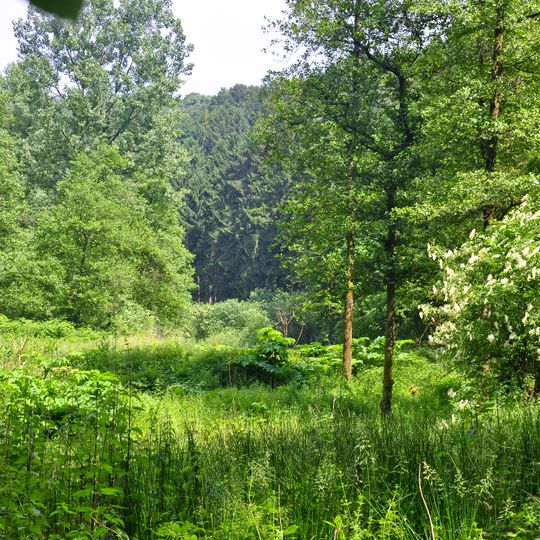 Unteres Morsbachtal mit Hölterfelder Siefen und Fürberger Bachtal