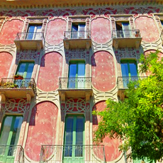 Palazzo Rosa
