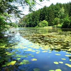 Naturschutzgebiet 'Widdumer Weiher' und Wasenmoos