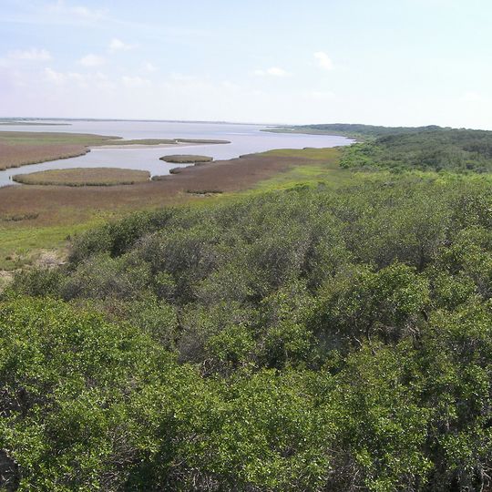 Aransas National Wildlife Refuge