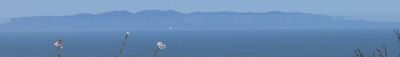 Panoramic View 1