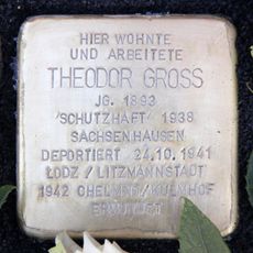 Theodor Gross