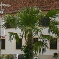 Hartberg