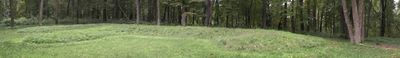 Panoramic View 1