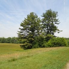 Maudslay State Park