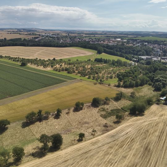 Streuobstwiese in Penig am Stadtgut 1