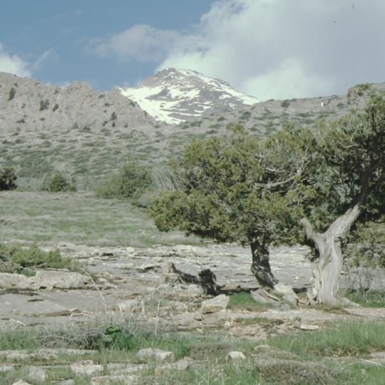 Köýtendag Nature Reserve