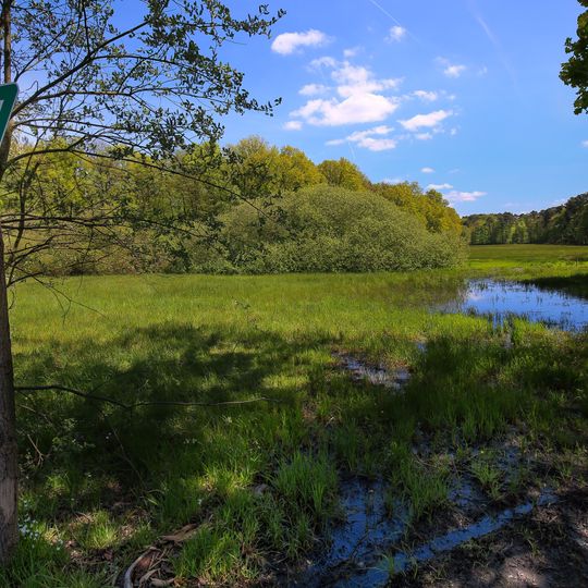 Faulbruch bei Erzhausen