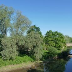 Naturnaher Neckarabschnitt mit Insel (An der Ulrichsbrücke)