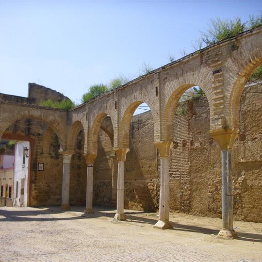 Castillo de la Mota- Palacio Ducal