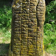 Södermanlands runinskrifter 113