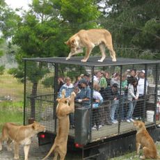 Orana Wildlife Park