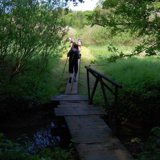 Lávka turistické stezky přes přítok Košinského potoka z rybníka Homolka