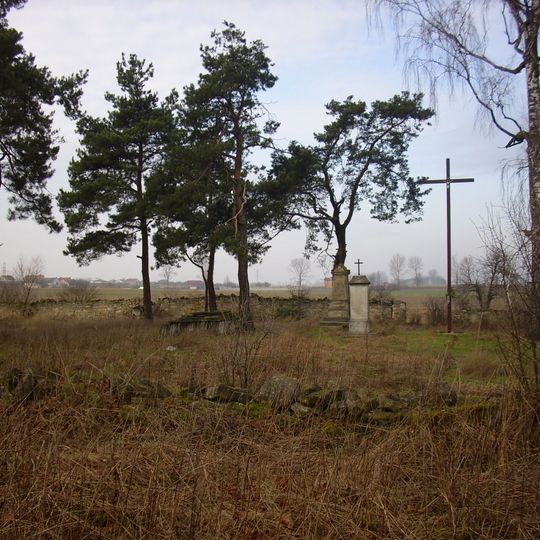 Cmentarz epidemiczny w Wierzbicy