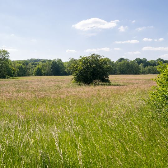 NSG Nieseniederung mit Muendungsbereich