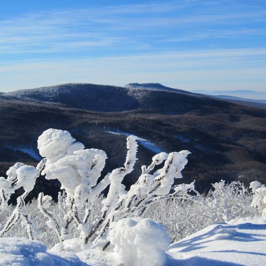 Rezerwat przyrody Motrogon