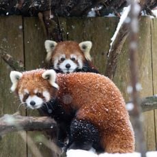 Utica Zoo
