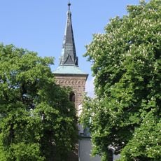 Jírovec v Přáslavicích