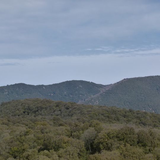 Turó de la Primavera