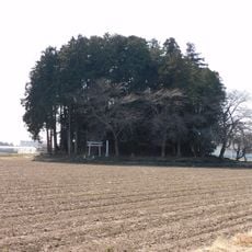 Shimoguri-Ōtsuka Kofun