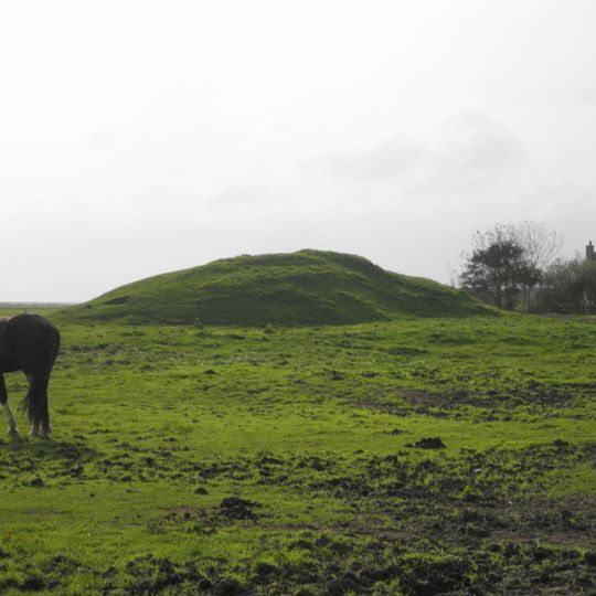 Stinswier van de Popmastins
