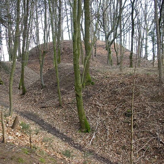 Burgstall Walleshausen