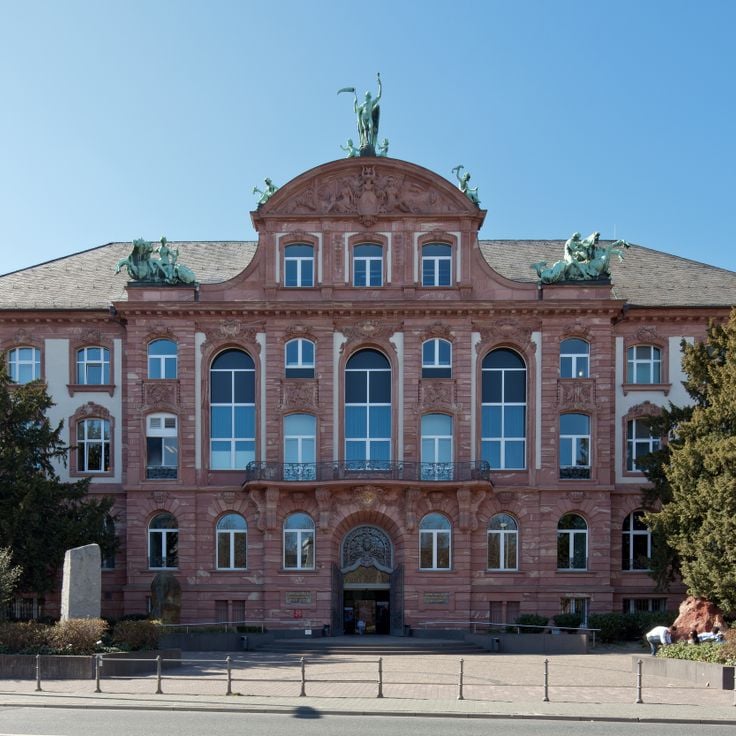 Senckenberg Naturmuseum