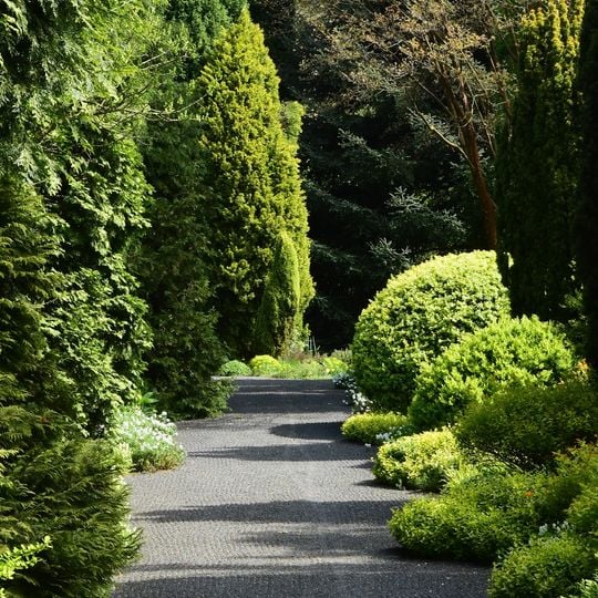 Arboretum Park Härle
