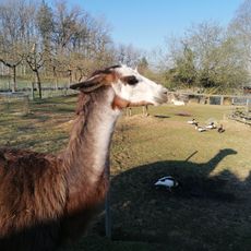 Hobby-Farm Schildberger
