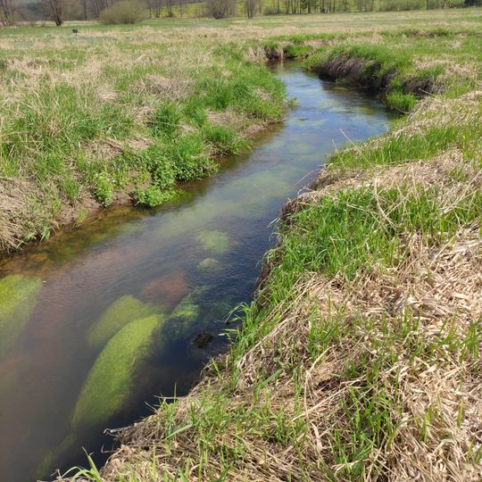 Meandry Svratky u Milov