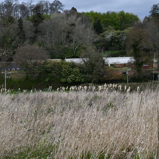 Kitchen Garden Walls Including Glasshouses Wnw Of Powderham Castle