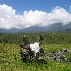 Meru National Park