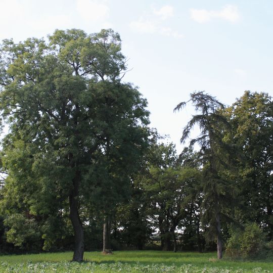 Tupadły, Gmina Złotniki Kujawskie