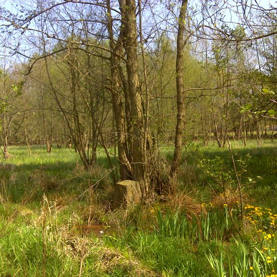 Sächsisch-Preußischer Grenzstein: Pilarpaar Nr. 146