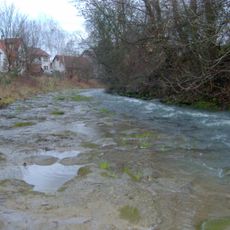Schneckenpflaster an der Steinlach