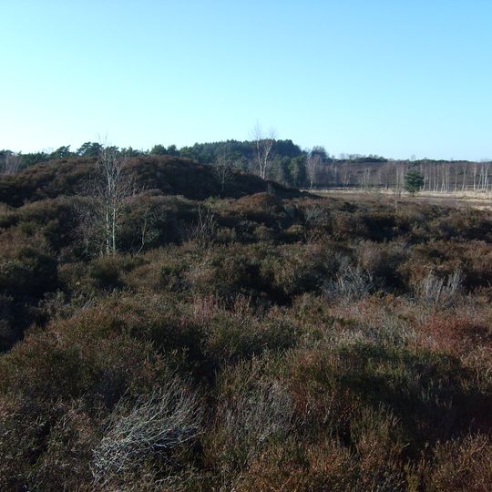 Roman road across Iping Common and bowl barrow 180m north west of Fitzhall Lodge:  part of Fitzhall Heath round barrow cemetery