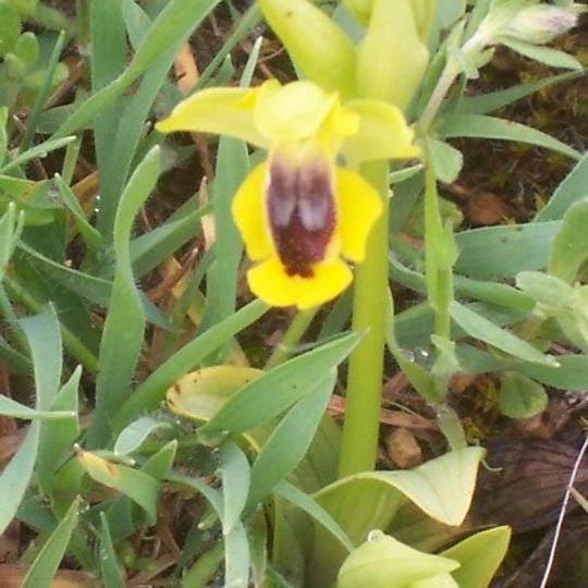 Jardín educativo del Centro de Investigación Fernando González Bernáldez
