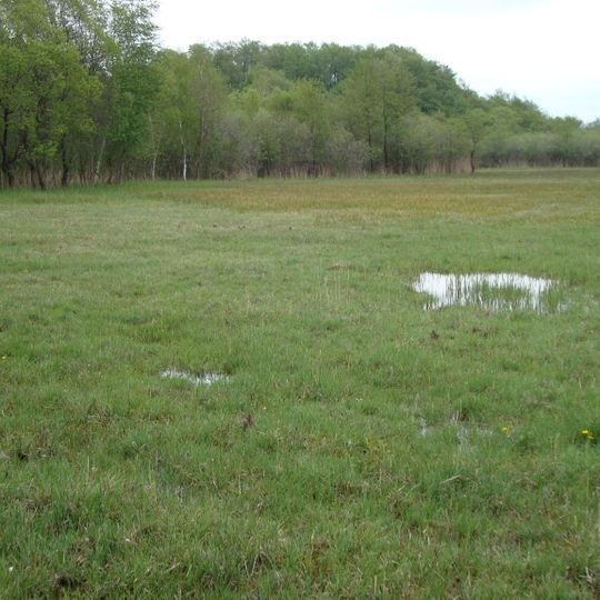 Kalk-Zwischenmoor Wendischhagen