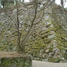 Kameyama Castle