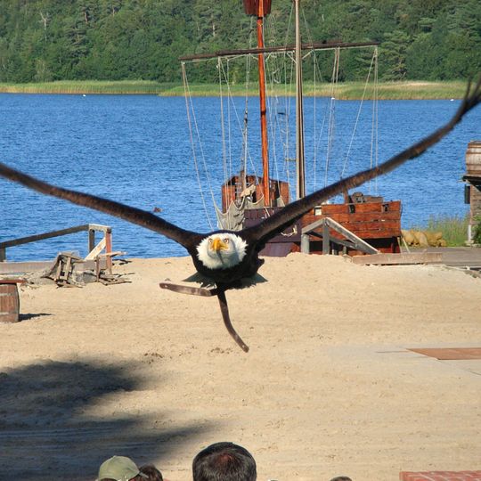 Störtebeker Festival