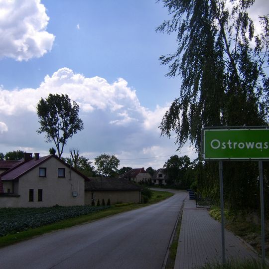 Ostrowąs