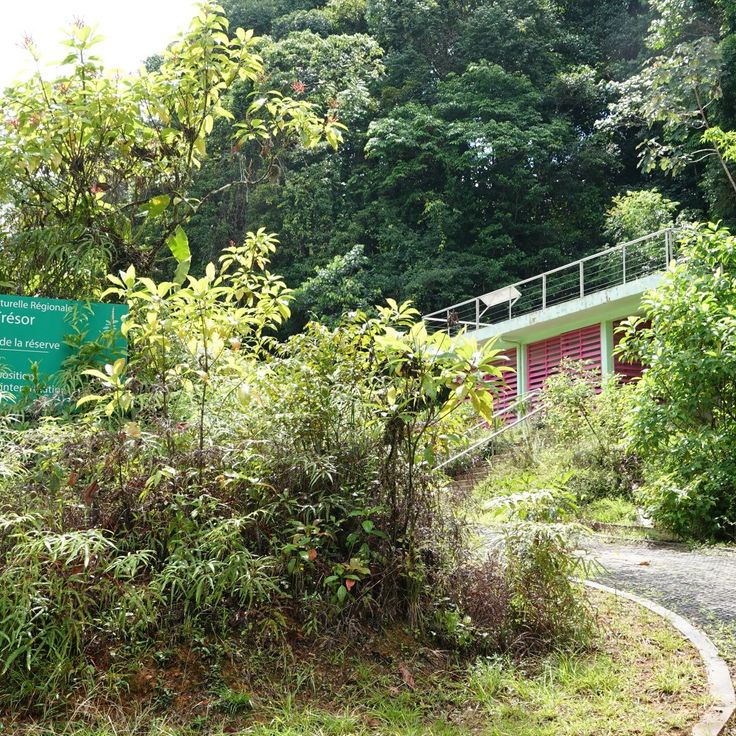 Réserve Naturelle Trésor