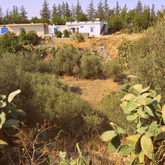 Amphitheatre of Thuburbo Minus