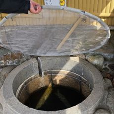 桂葉清水