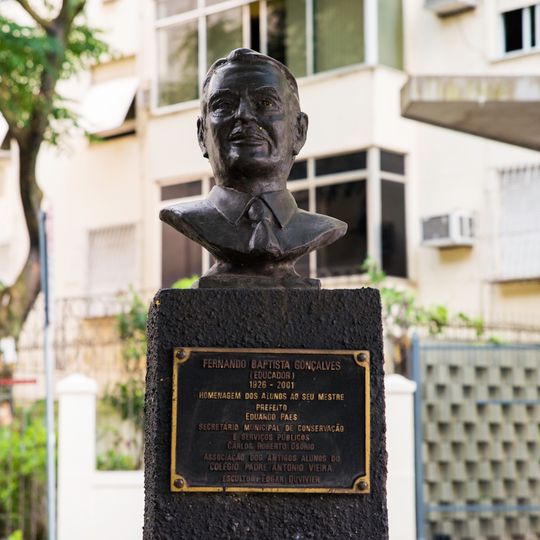 Fernando Baptista Gonçalves