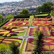 Madeira tour: gardens, viewpoints, mountains