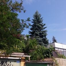 Vila a záhrada, záhrada